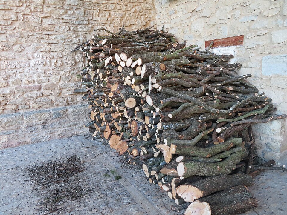 Holm oak firewood — an example of oak wood